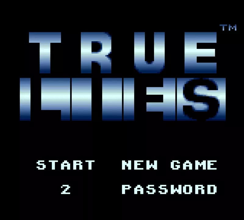 Image n° 4 - screenshots  : True Lies